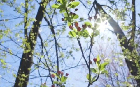 Temperature sopra la media, attenzione a nebbie e valanghe in montagna