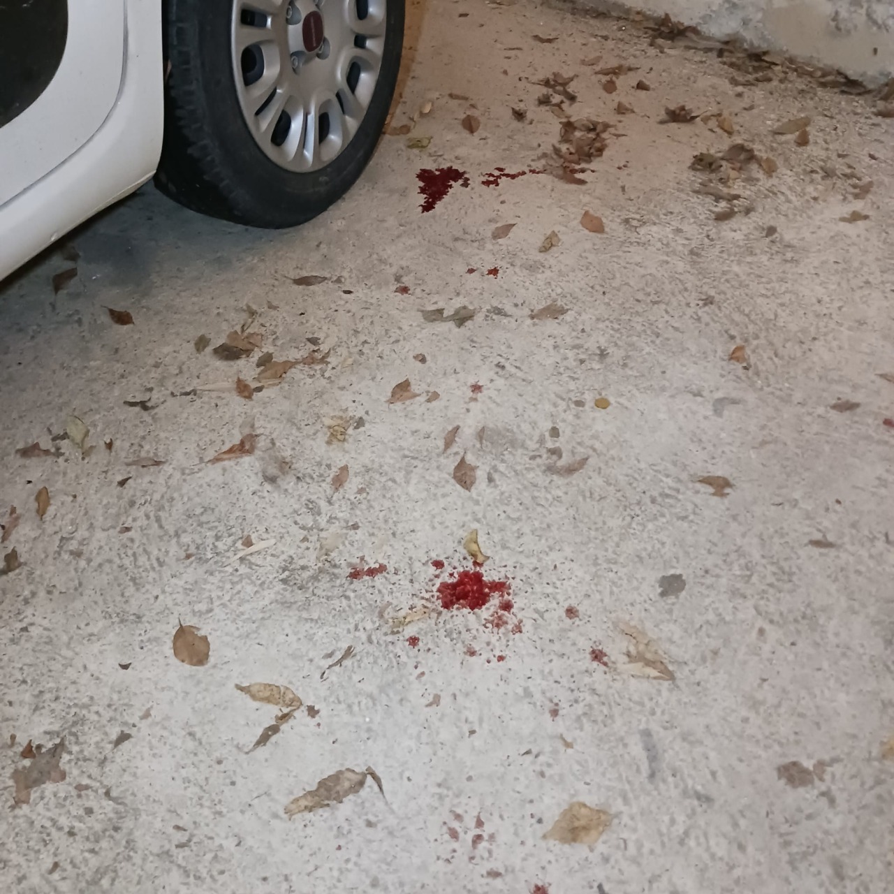 Tre rapine in poche settimane: il tabaccaio finisce in ospedale e pensa a una pistola