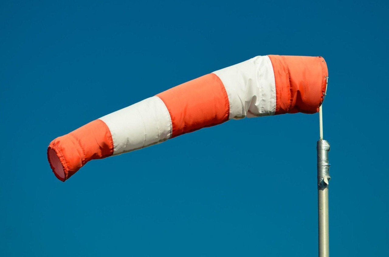 Allerta gialla per vento intenso nel Lazio