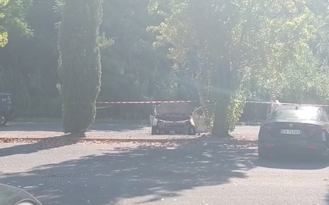 Francesco Loverso, il caso rimane aperto: “Si indaga in tutte le direzioni”