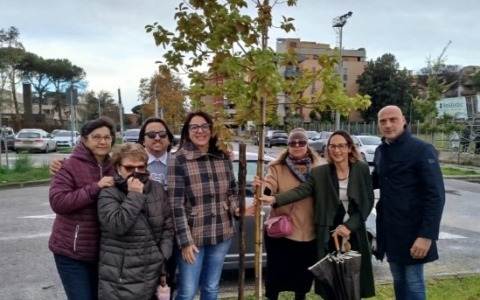 Il Movimento 5 Stelle critica la depavimentazione del Piazzale dei Mercanti