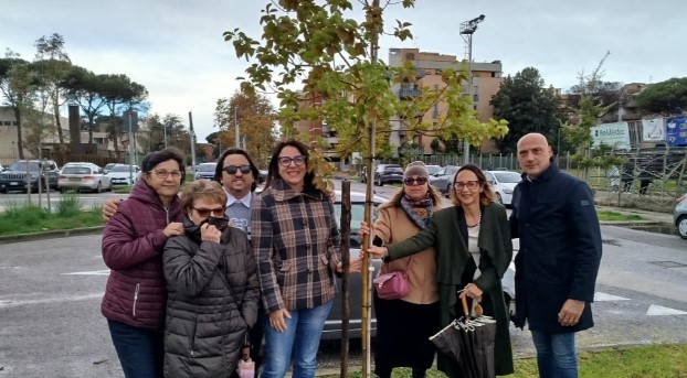 Il Movimento 5 Stelle critica la depavimentazione del Piazzale dei Mercanti