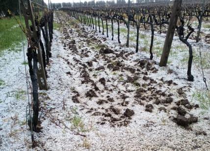 Il ritorno dell’inverno: freddo e pioggia fino a domenica