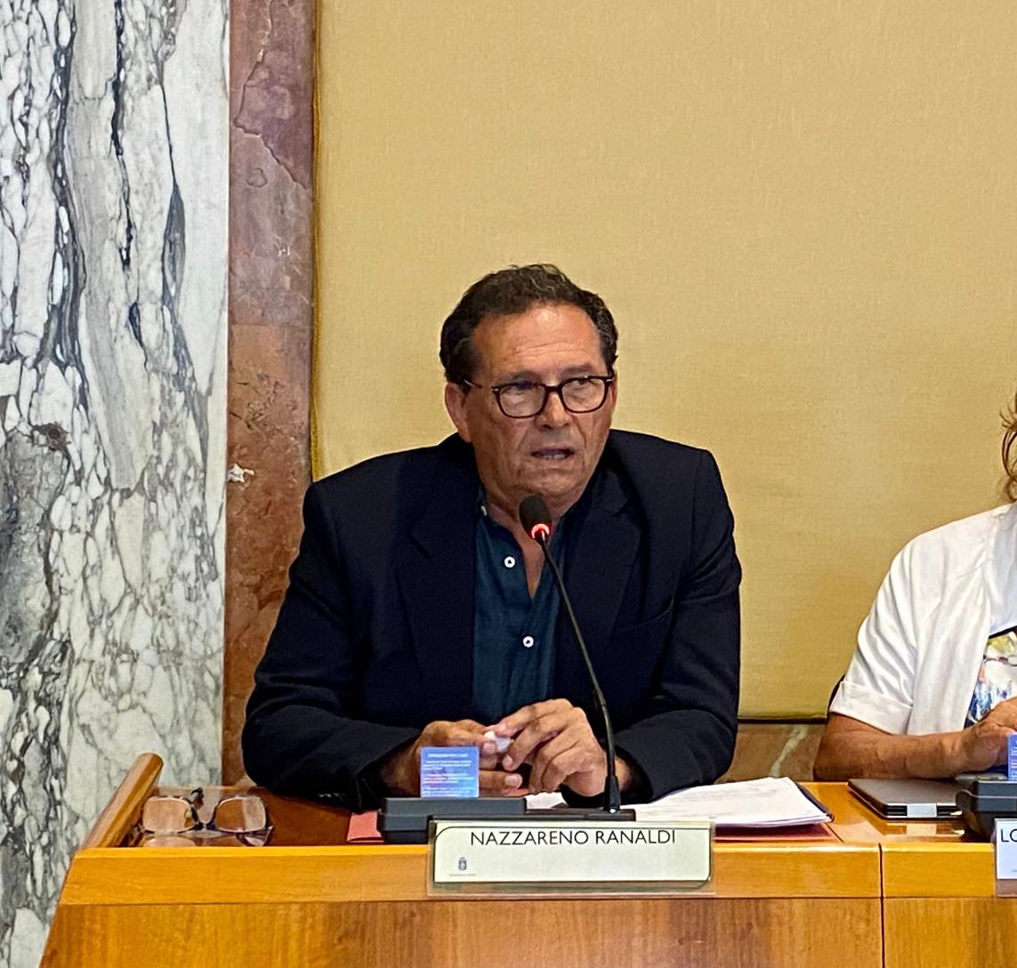 Ranaldi: “Una città fuori legge per insegne e passi carrabili con un buco da 4 milioni”