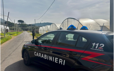 Sospensione dell’attività per lavoratori in nero in azienda agricola