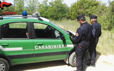 Denunce per abusi edilizi a Dragonara