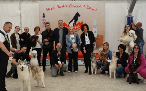 Grande partecipazione al Dog Day Festival 2026
