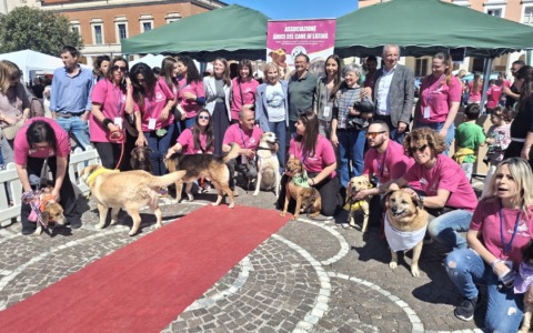 Grande partecipazione per l’evento “Il Canile va in città”