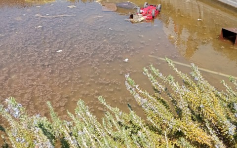Iniziative contro l’inciviltà: rifiuti nella fontana e crescita della differenziata