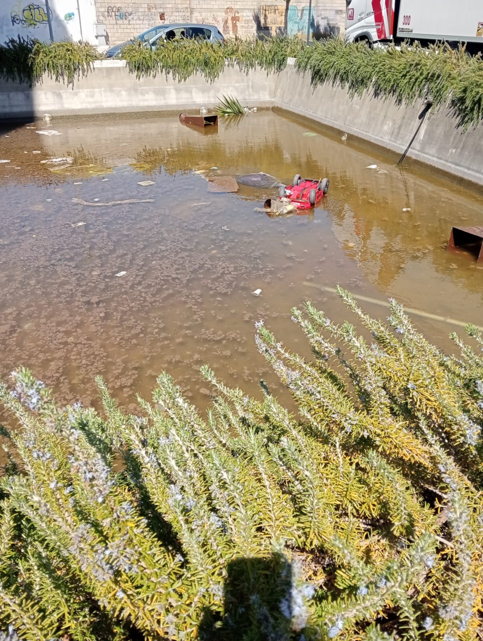 Iniziative contro l’inciviltà: rifiuti nella fontana e crescita della differenziata