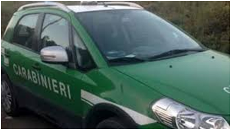 Rifiuti abbandonati a Pisterzo, identificato il colpevole dai Forestali