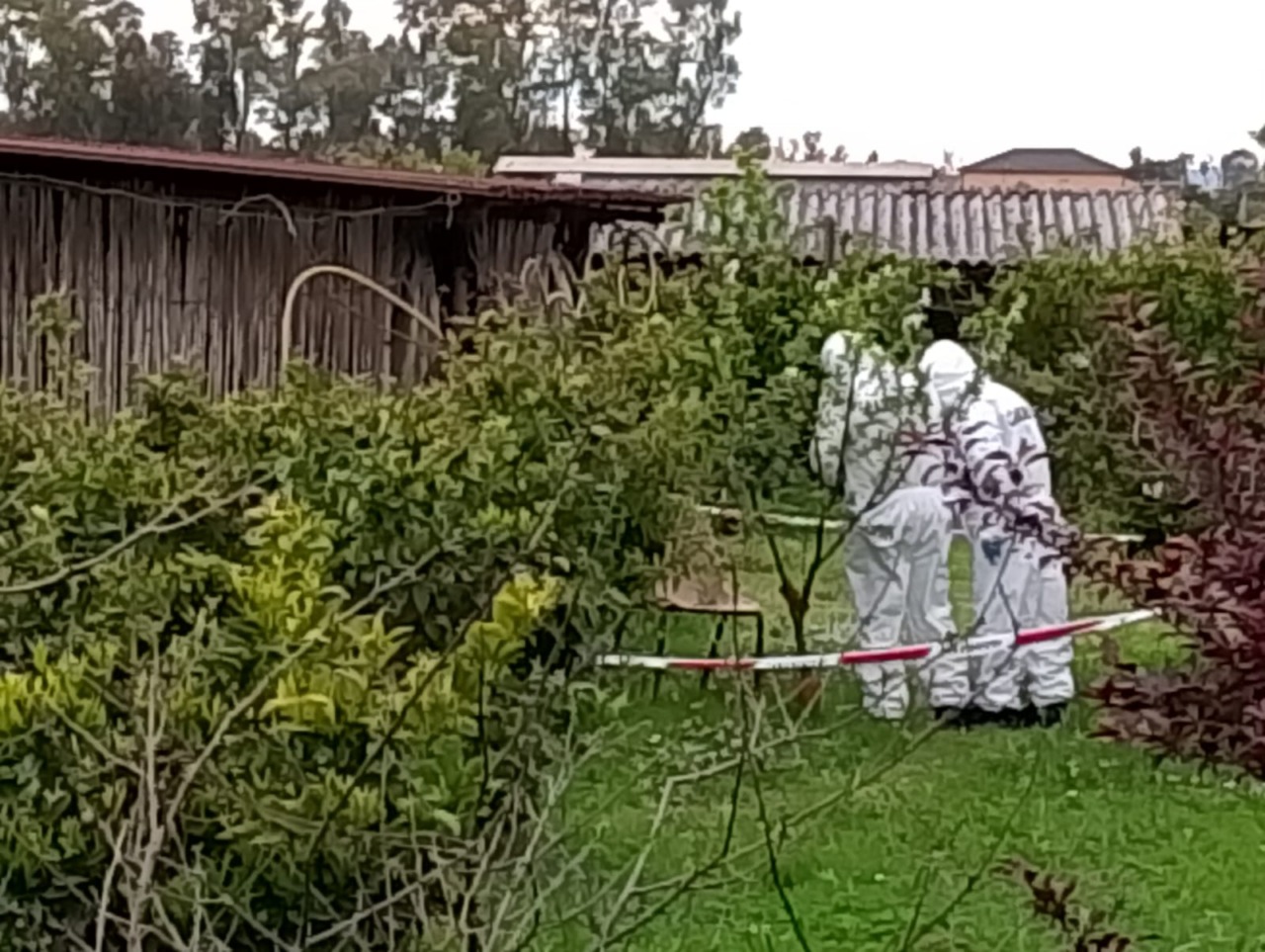 Sequestrati due coltelli nell’omicidio di Giuseppe Pirani