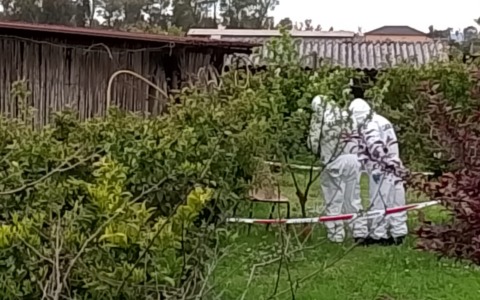 Sequestrati due coltelli nell’omicidio di Giuseppe Pirani