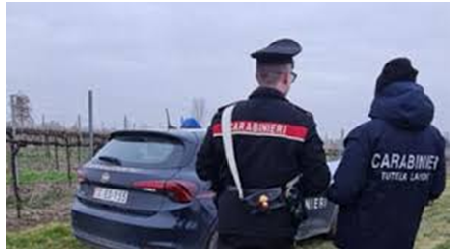 Trovato morto un anziano, ferite da arma da taglio sul corpo